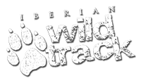Iberian Wild Track