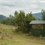 quebrantahuesos03
